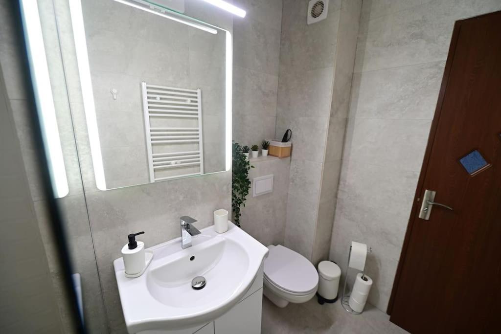 Flh - Apartament Damar Sibiu Exterior foto