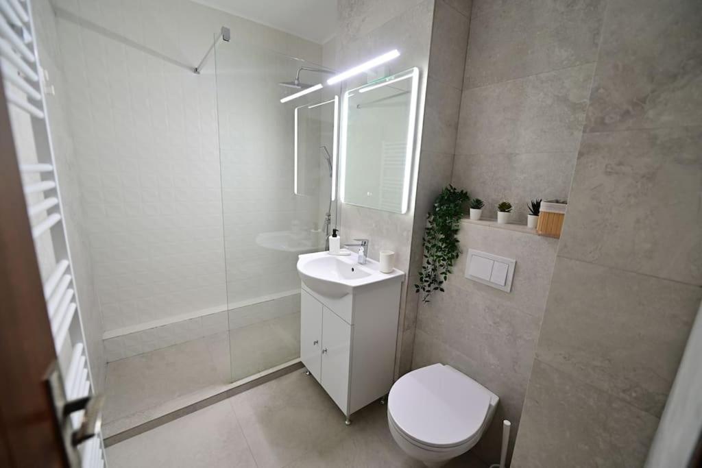Flh - Apartament Damar Sibiu Exterior foto